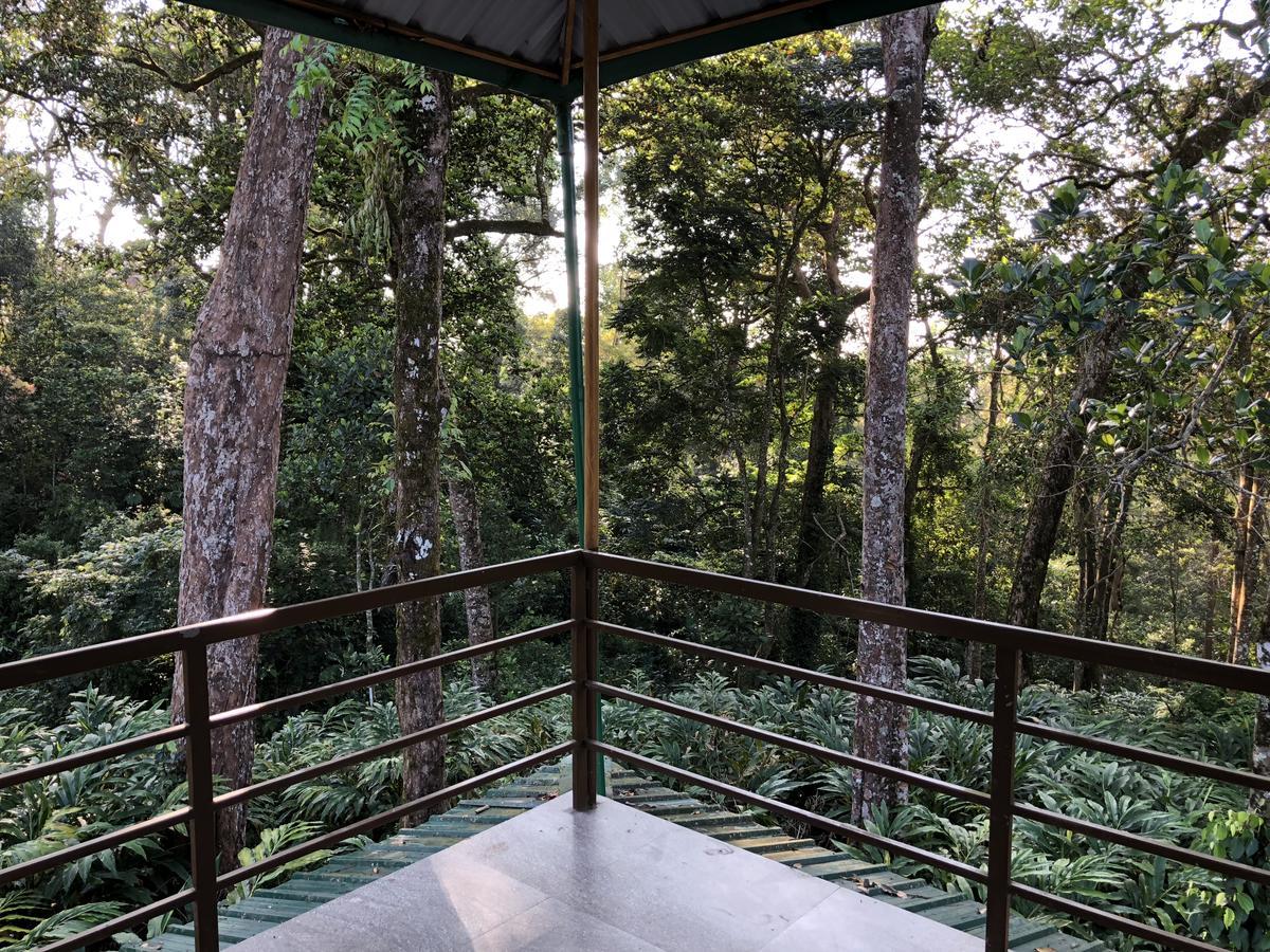 Green Shades Munnar Exterior foto