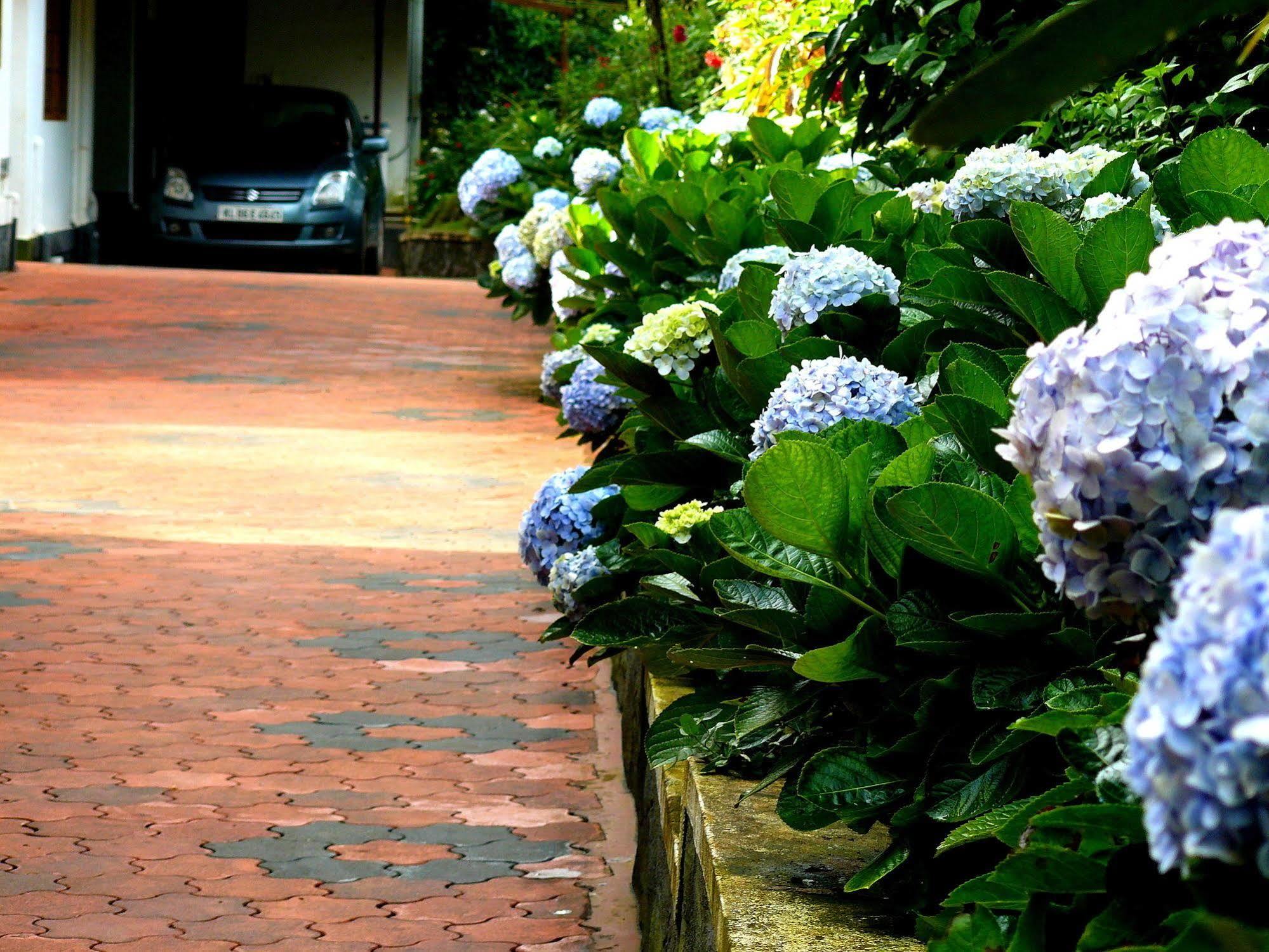 Green Shades Munnar Exterior foto